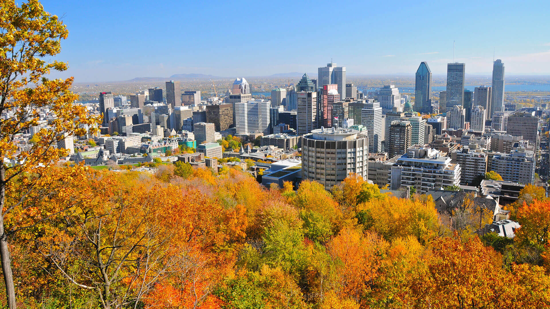 Montreal Canada Backpage