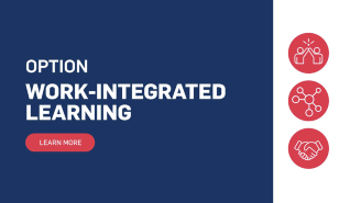 Work-Integrated Learning